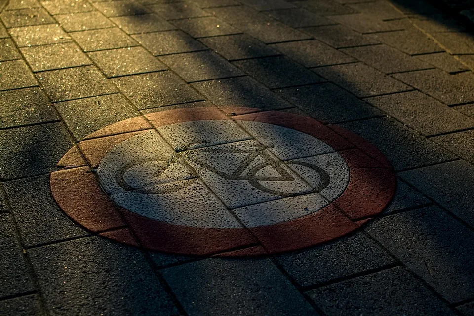 Meme-Coins im Aufwind: Neue Chancen und Trends für Anleger