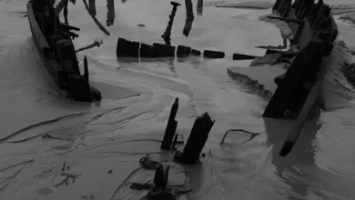 Bitcoin-Verlust offenbart Unsicherheit im Krypto-Markt