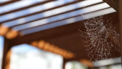 Bitcoin-Rallye: Wer profitiert von der nächsten Kursexplosion?