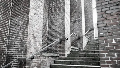 Cardano-Kursanalyse: Aufstieg nach heftigem Rückgang