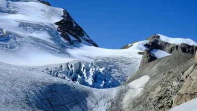 Kryptomarkt auf Hochtouren: Bitcoin und BNB erreichen Rekorde