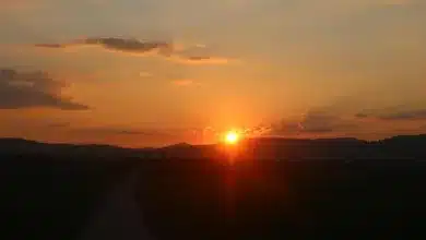 XRP-Prognose: Chancen und Risiken bis Ende 2025 analysiert