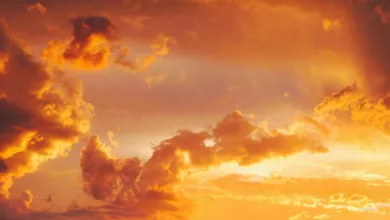 Krypto-Markt unter Druck: Bitcoin stürzt dramatisch ab