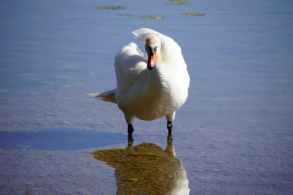 Kryptoanalyseplattform CoinGlass nach Angriff vorübergehend offline