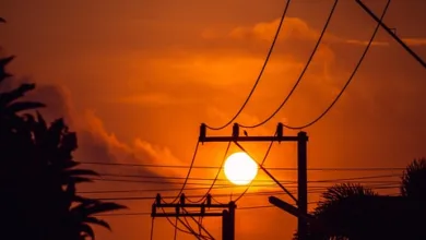 Unterbewertete Altcoins: Avalanche und Sei im Fokus der Anleger