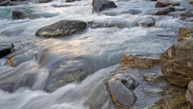 Solana: Rekord-ETFs und turbulente Zeiten im Krypto-Markt