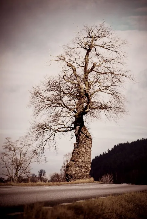 Erste tokenisierte Aktien auf der Bitcoin-Blockchain gestartet