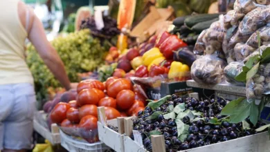 Dogecoin stürzt ab: Markt reagiert auf Handelskonflikt