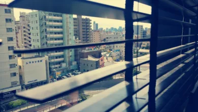 Krypto-Crash 2025: Ursachen und Ausblick für Investoren