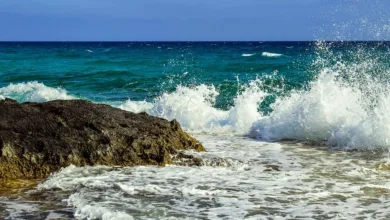 Kryptomarkt nach Crash: Ethereum und Altcoins erholen sich