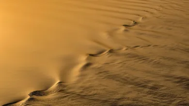 Ripple stärkt globale Finanzstrategien durch GTreasury-Übernahme