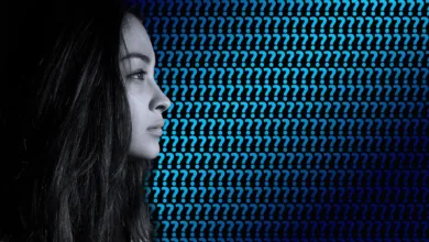 Krypto verstehen: Die Wahrheit hinter Preisbewegungen