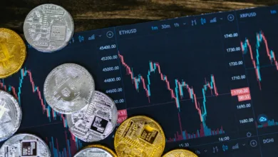 Krypto-Whale erzielt Millionen-Gewinn im Bitcoin-Crash