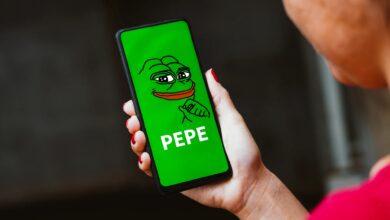 Pepe Coin: Starker Rückgang und neue Tiefstände erreicht