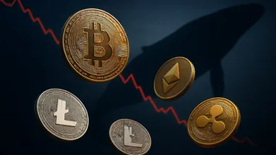 Bitcoin unter Druck: Marktstimmung auf Siebenmonatstief