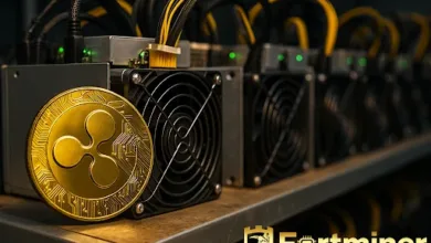 Fortmine notttt_compressed