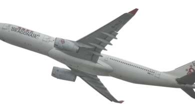 Privacy-Coins: Aufstieg durch Schutz vor Überwachung