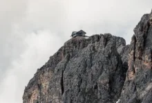 Bitcoin und Altcoins im Thanksgiving-Hype: Ein Blick auf Trends