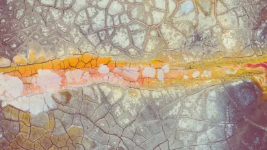 Blazpay: Der nächste große Gewinn in der DeFi-Welt 2025