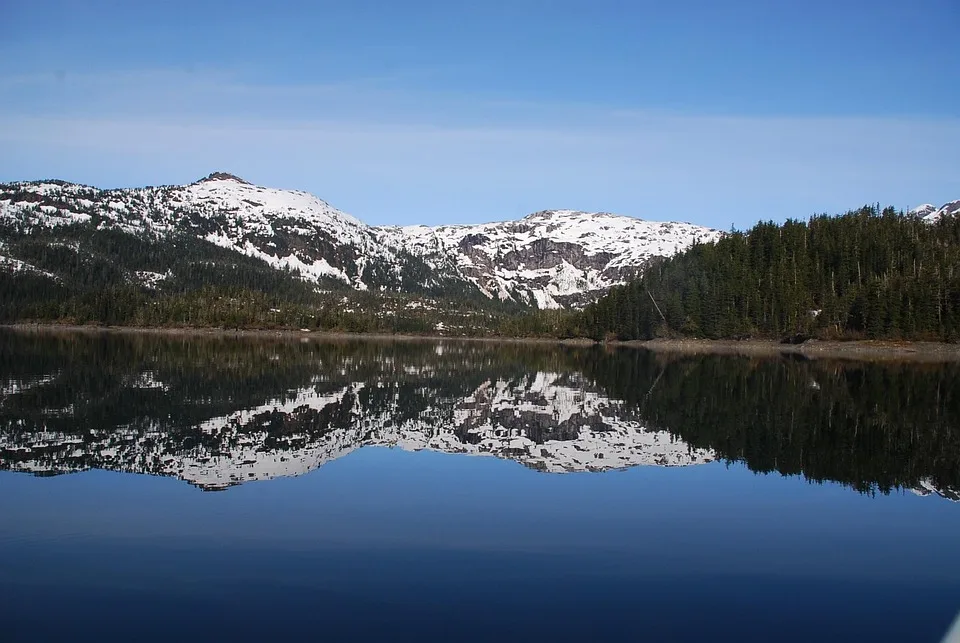 Kryptomärkte im Aufschwung: Williams Kommentare wirken nach