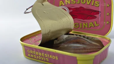 Neue Richtlinien: ETFs dürfen Krypto-Staking Erträge nutzen