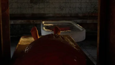 Autopsy Mainnet Recovery: Vertrauen in digitale Gerechtigkeit