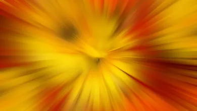 Krypto-Investitionen vor dem Boom: Chancen und Trends im Fokus