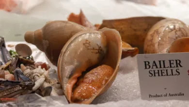 Verkauf von Krypto: Ähnlichkeiten zur Dotcom-Krise erkennen