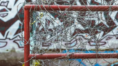 Krypto-Kollaps nach Bitcoin-Höhen: Ein Risiko für Anleger