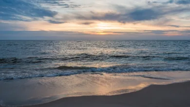 BitCrack Recovery: Ihr vertrauenswürdiger Partner für Krypto-Rückgewinnung