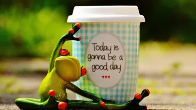 Kryptowährungen boomt: Optimismus oder gefährliche Blase?