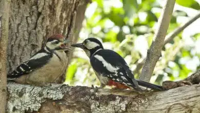 Internet-Ausfall macht Schwächen in der Infrastruktur deutlich