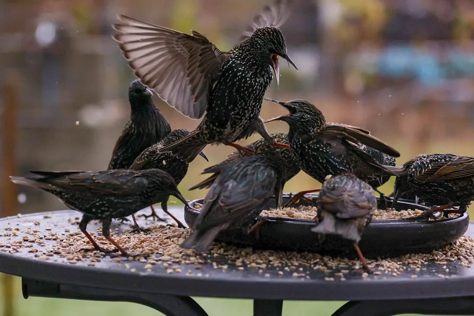 Bitcoin: Analysten streiten über Kursrückgang auf 56.000 USD