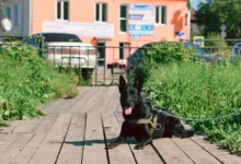 Kryptomarkt atmet auf: Bitcoin kämpft, Ethereum gewinnt