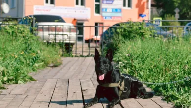 Kryptomarkt atmet auf: Bitcoin kämpft, Ethereum gewinnt