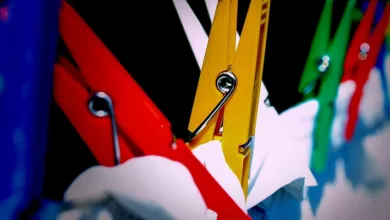 XRP: Wal-Verkäufe belasten Erholung trotz ETF-Optimismus