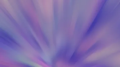 Boom bei Krypto-ETPs: Deutschland im Aufschwung der Investitionen