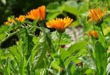 Mt. Gox: Neue Bitcoin-Transaktionen sorgen für Nervosität