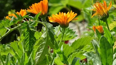 Mt. Gox: Neue Bitcoin-Transaktionen sorgen für Nervosität