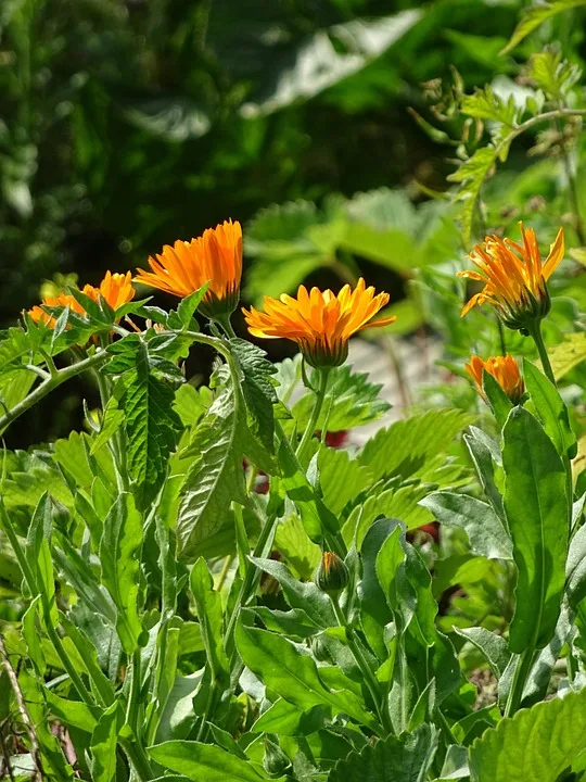 Mt. Gox: Neue Bitcoin-Transaktionen sorgen für Nervosität