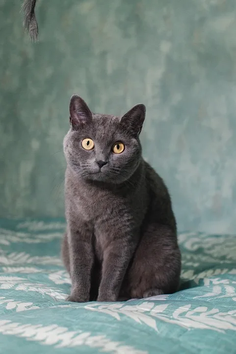 Steuerdruck steigt: Was Briten für Krypto-Trading erwartet