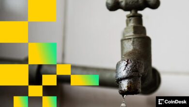 Kryptomarkt unter Druck: Bitcoin kämpft um Stabilität