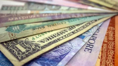 Krypto-Index-ETFs: Investieren ohne Risiko einzelner Token