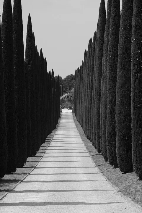 Krypto-Innovation: Zugang statt Preis entscheidend für Zukunft