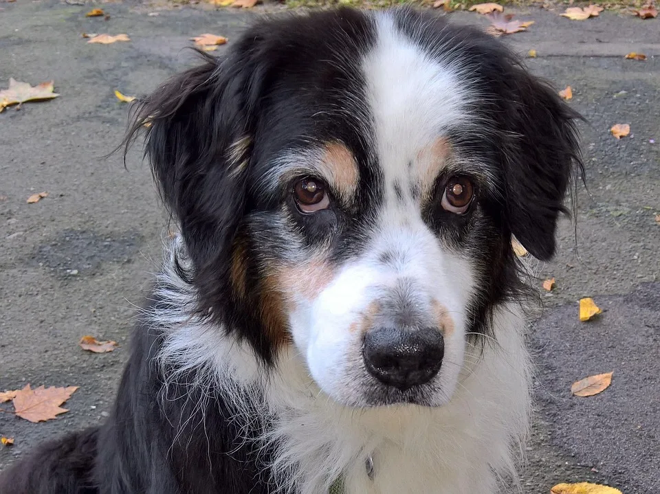 Kryptomarkt im Aufschwung: Die besten Altcoins für Investoren