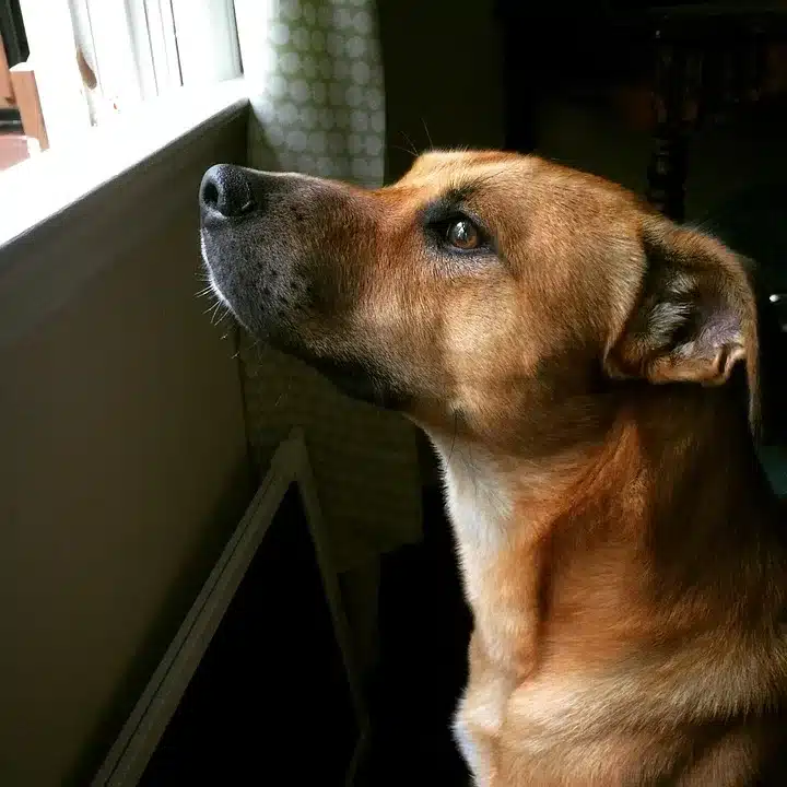 Mut zur Veränderung: Chancen und Ängste bei Kryptowährungen