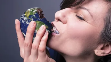 Klarna betritt mit Stablecoin den globalen Zahlungsmarkt