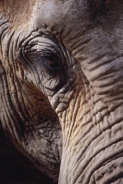 Hyphe erhält MiCA-Lizenz und erweitert digitale Finanzdienstleistungen