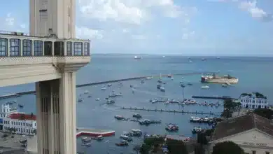 El Salvadors mutiger Bitcoin-Kauf: Signal für Kursstabilität