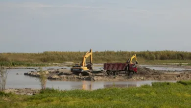 XRP auf der Kippe: ETF-Start könnte Kurs stark beeinflussen